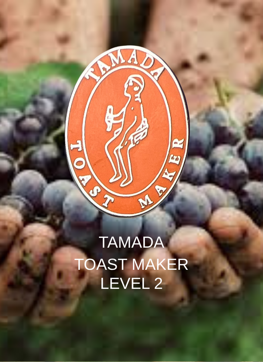 Georgian wine scholar LEVEL 2