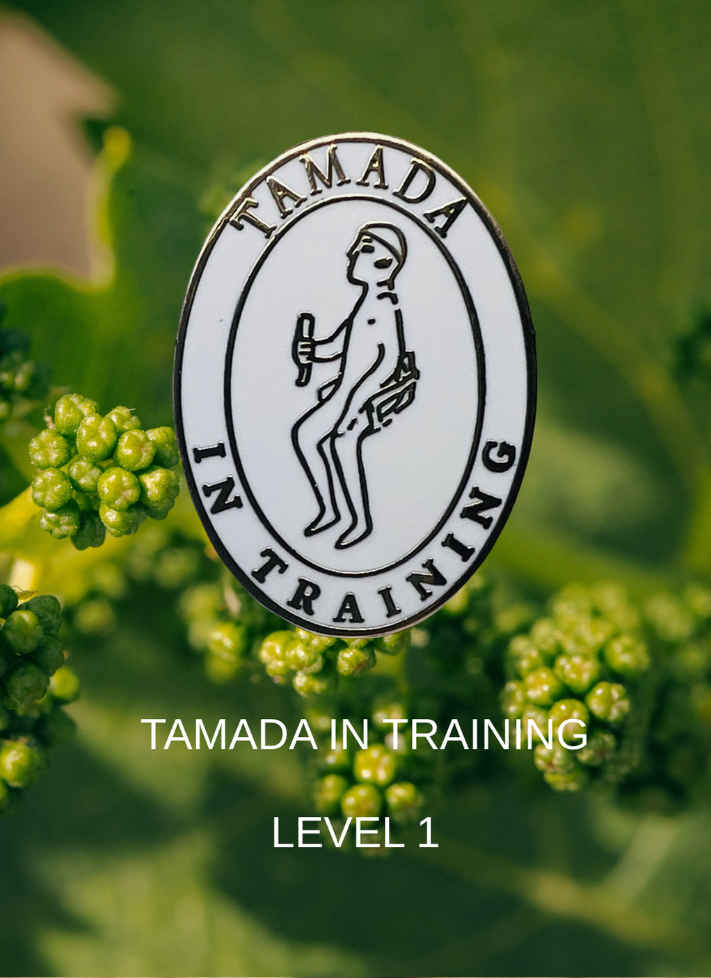 Georgian Wine Scholar LEVEL 1