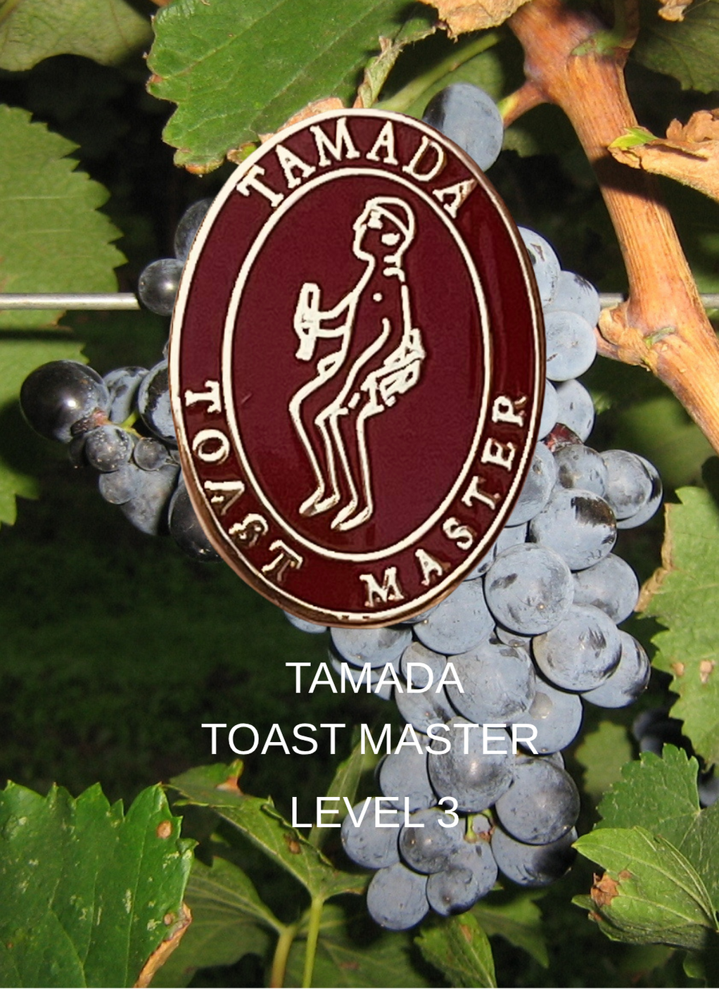 Georgian wine Scholar LEVEL 3
