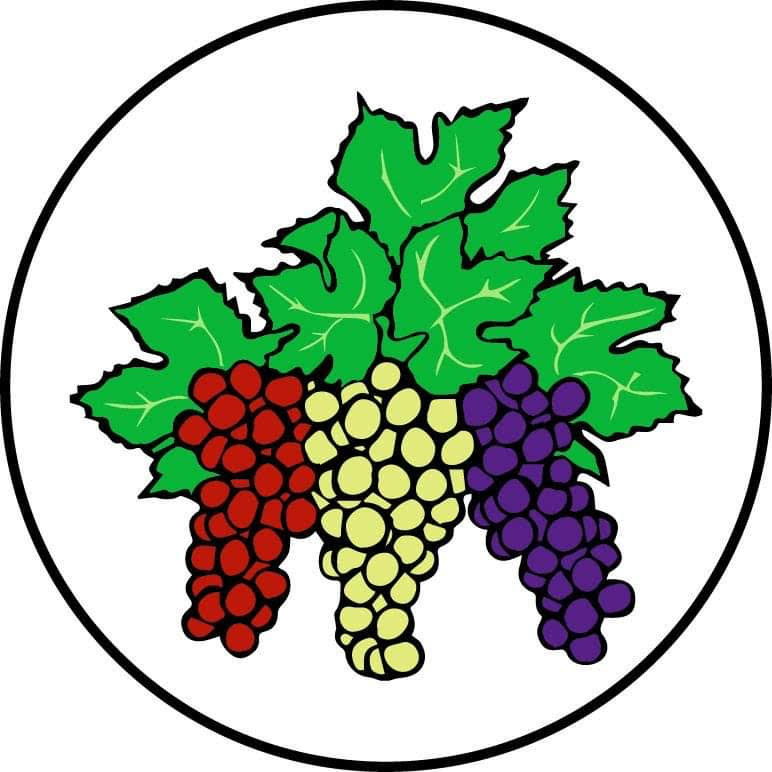 Wines to Explore